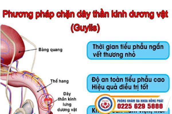 Địa chỉ chữa yếu sinh lý tốt nhất ở Hải Phòng