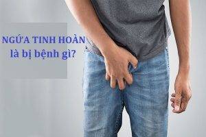 Ngứa tinh hoàn là bị bệnh gì?