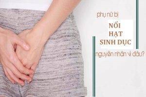 Nguyên nhân nào gây nổi hạt sinh dục nữ?