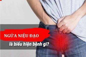 Ngứa niệu đạo là dấu hiệu bệnh gì và điều trị như thế nào?