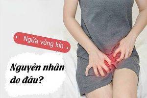 Nguyên nhân gây ngứa vùng kín là gì?