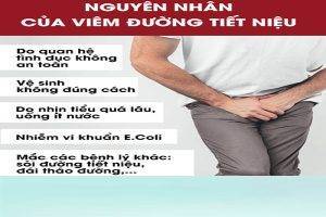 Nguyên nhân và triệu chứng viêm tiết niệu là gì?