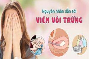 Viêm vòi trứng là bệnh lý như thế nào?