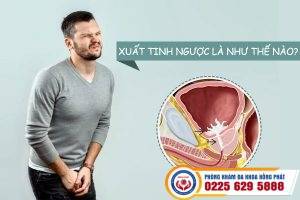 Xuất tinh ngược là sao – Cách hỗ trợ điều trị hiệu quả tại Phòng Khám Hồng Phát