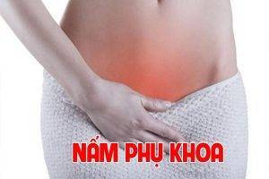 Nấm phụ khoa là gì? Triệu chứng các loại nấm phụ khoa