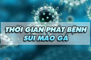 Thời gian phát bệnh sùi mào gà