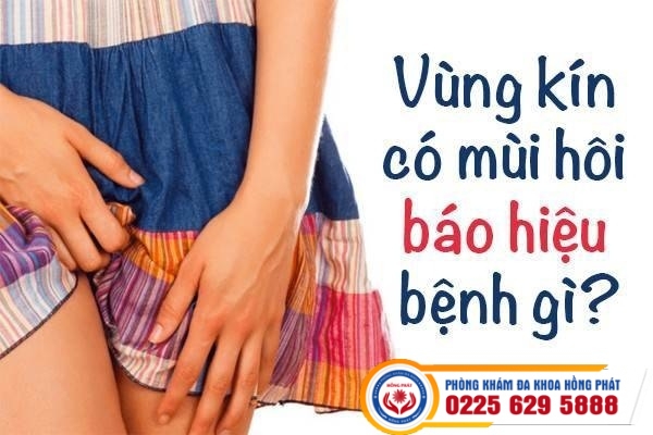 Vùng Kín Có Mùi Hôi Là Dấu Hiệu Cảnh Báo Bệnh Gì