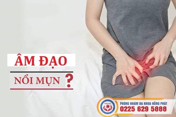 Nổi Mụn Thịt Ở Vùng Kín Nữ Là Bệnh Gì