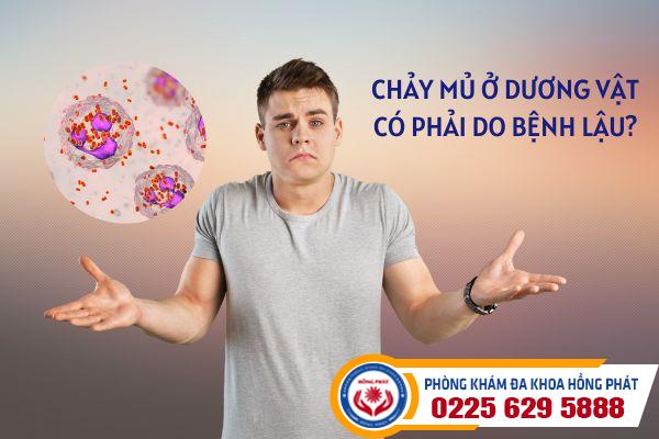 Chảy mủ ở dương vật có phải do bệnh lậu?