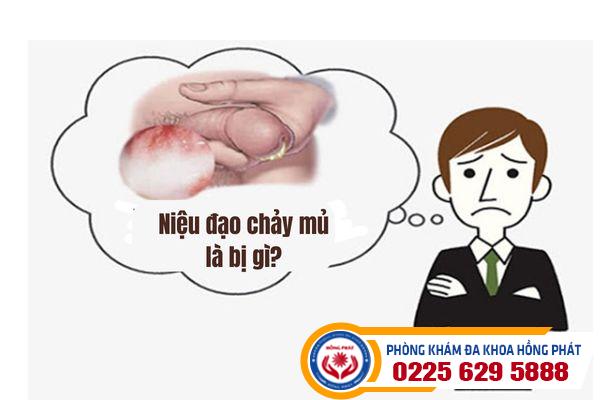 Niệu đạo chảy mủ là bị gì?