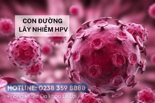 Nguồn lây nhiễm hpv qua con đường nào?